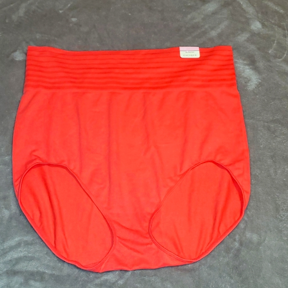 Lane Bryant Panties